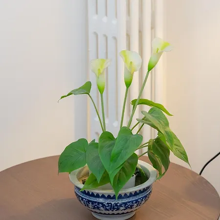 Faleria By In Apartment *